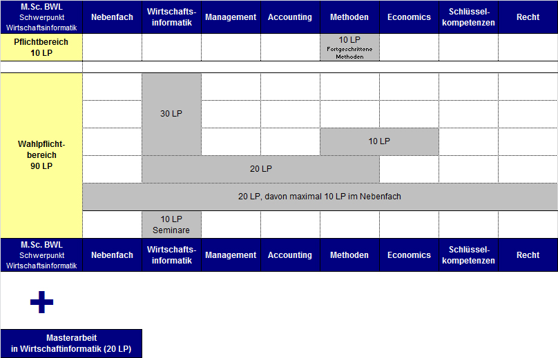 Aufbau des Masters BWL mit Schwerpunkt Wirtschaftsinformatik